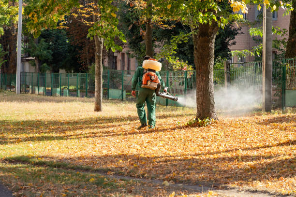 Best Pest Control Treatment  in Vidor, TX