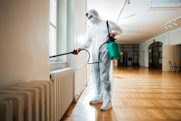 Best Exterminator Services  in Vidor, TX